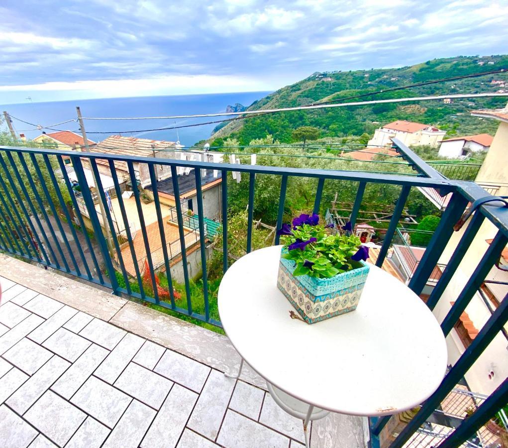 Seeview Rooftop House Between Sorrento And Amalfi Villa Massa Lubrense Exterior photo